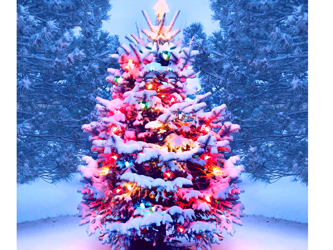 Immortal Christmas Songs That You Should Not Miss