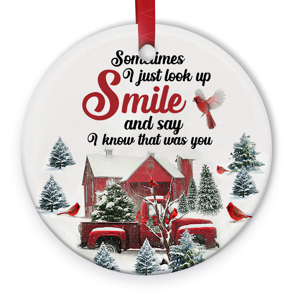 Cardinal Sometimes I Just Look Up Ceramic Circle Ornament - Decorative Ornament - Christmas Ornament