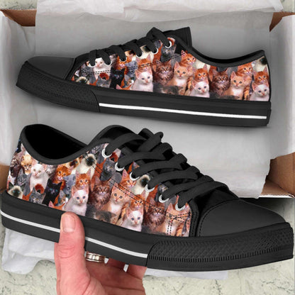 Cat Lover Shoes Cat Background Low Top Shoes Canvas Shoes Print Lowtop, Cat Canvas Shoes
