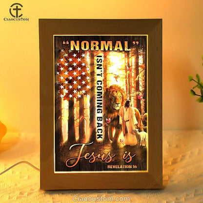 Amazing Forest, Animal Of God, Normal Isn't Coming Back Jesus Is American Flag Frame Lamp