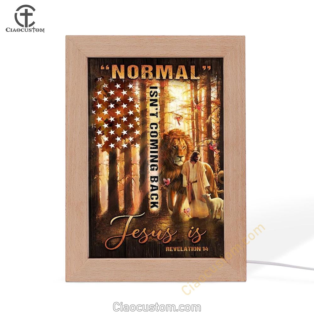 Amazing Forest, Animal Of God, Normal Isn't Coming Back Jesus Is American Flag Frame Lamp