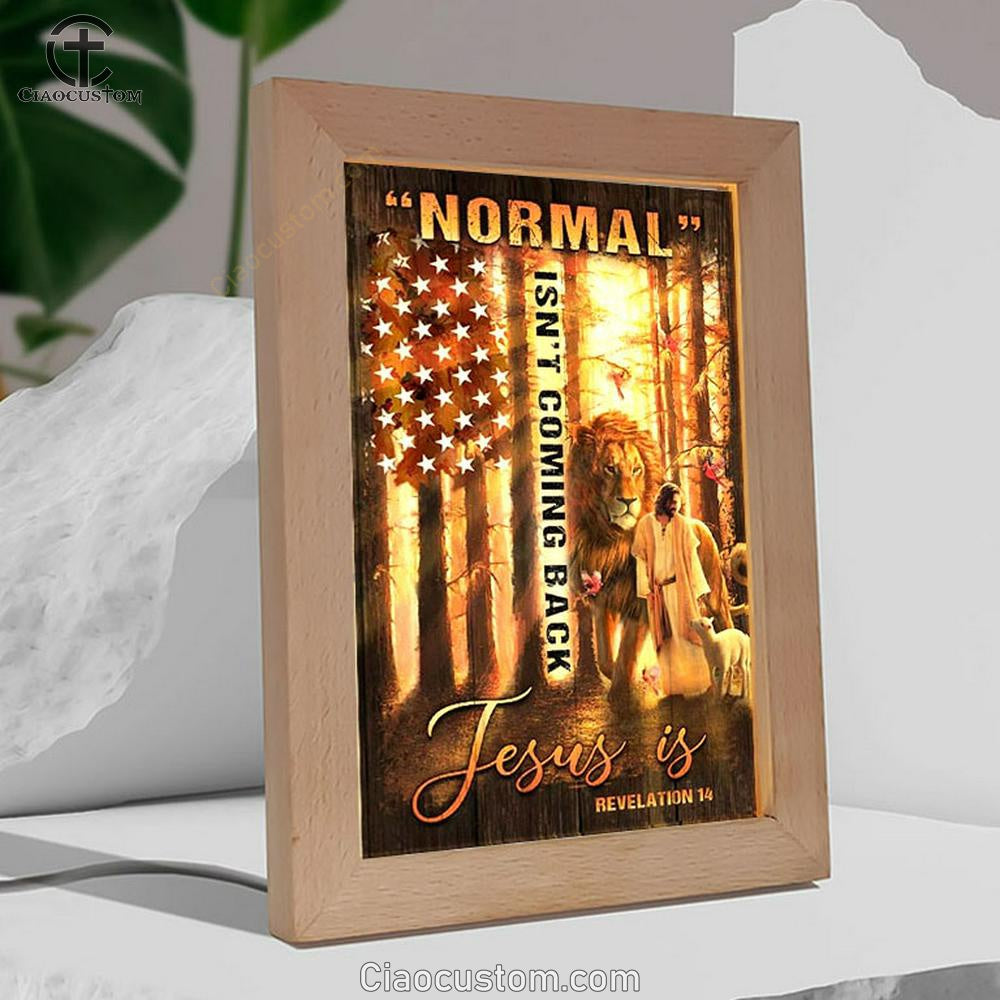 Amazing Forest, Animal Of God, Normal Isn't Coming Back Jesus Is American Flag Frame Lamp