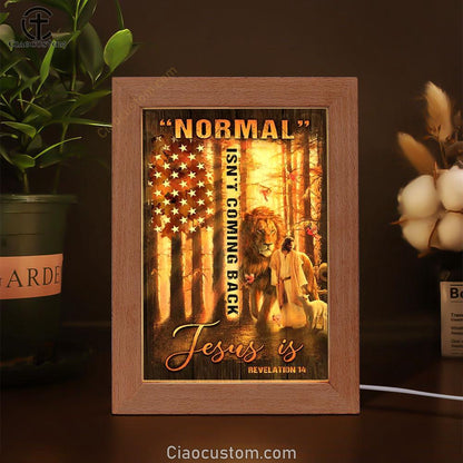 Amazing Forest, Animal Of God, Normal Isn't Coming Back Jesus Is American Flag Frame Lamp