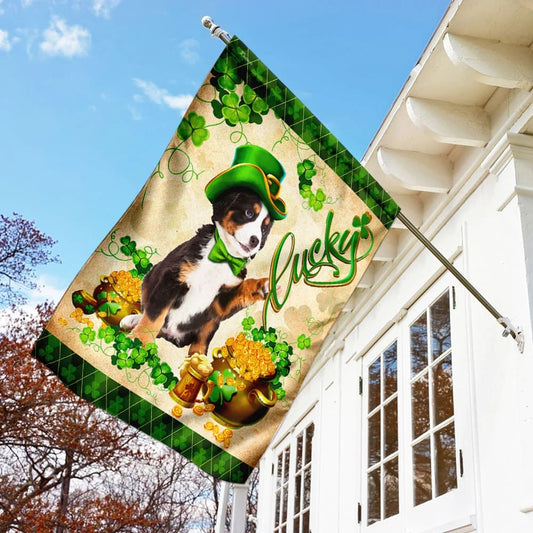 Australian Shepherd House Flag - St Patrick's Day Garden Flag - Outdoor St Patrick's Day Decor