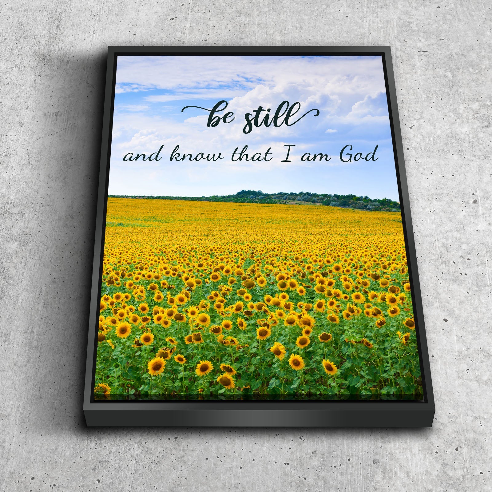 Be Still & Know That I Am God Bible Verse Canvas Wall Art