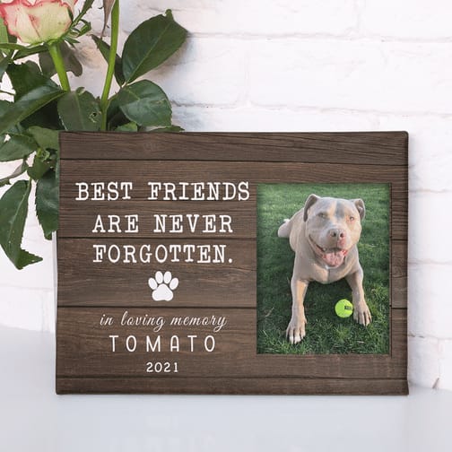 Best Friends Are Never Forgotten Personalized Pet Memorial Canvas Wall Art  1 - Pet Memorial Gifts