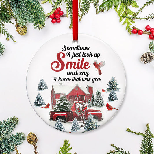 Cardinal Sometimes I Just Look Up Ceramic Circle Ornament - Decorative Ornament - Christmas Ornament