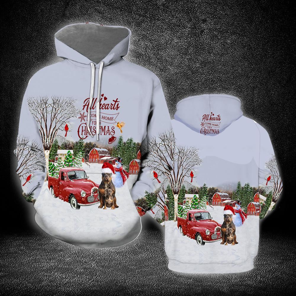 Christmas Pitbull All Over Print 3D Hoodie For Men And Women, Best Gift For Dog lovers, Best Outfit Christmas