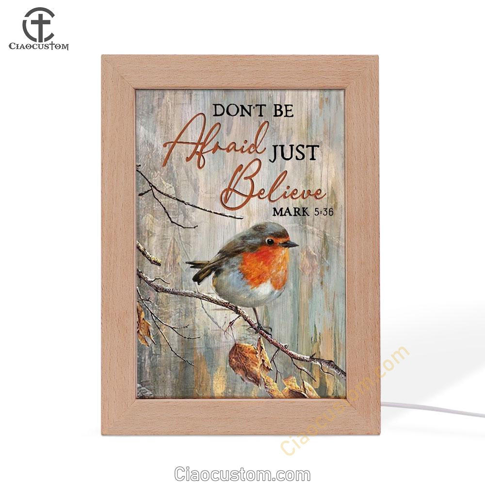 Colorful Bird Don't Be Afraid Just Believe Frame Lamp