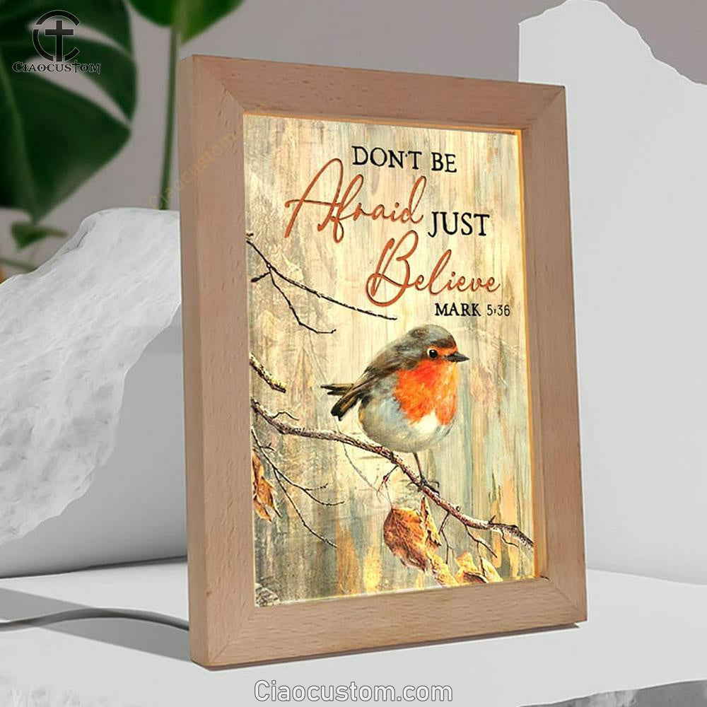Colorful Bird Don't Be Afraid Just Believe Frame Lamp