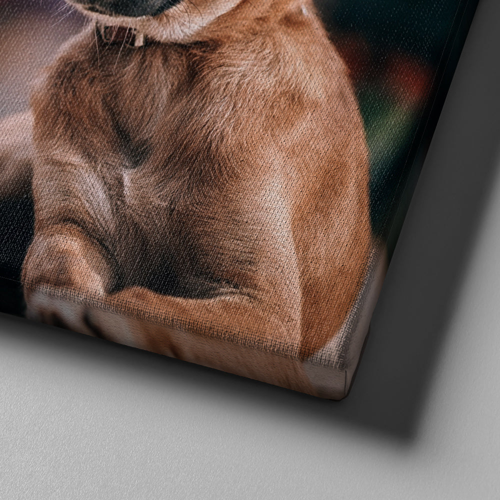 Colossians 323 Canvas Wall Art Print - Christian Canvas Wall Art