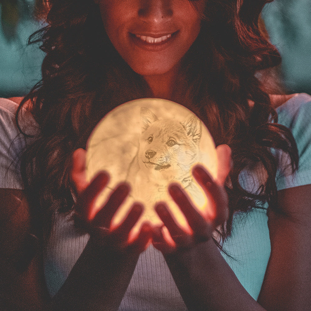 Custom 3d Dog Photo Moon Lamp - Dog Memorial Gifts - Dog Mom Gifts