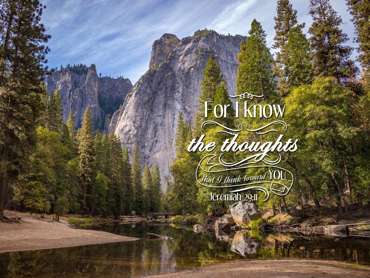 Jeremiah 2911 Kjv Bible Verse Canvas Wall Art