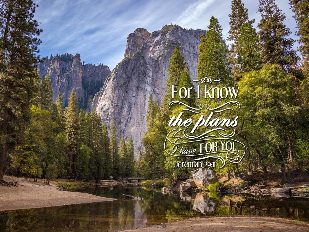 Jeremiah 2911 Niv Bible Verse Canvas Wall Art