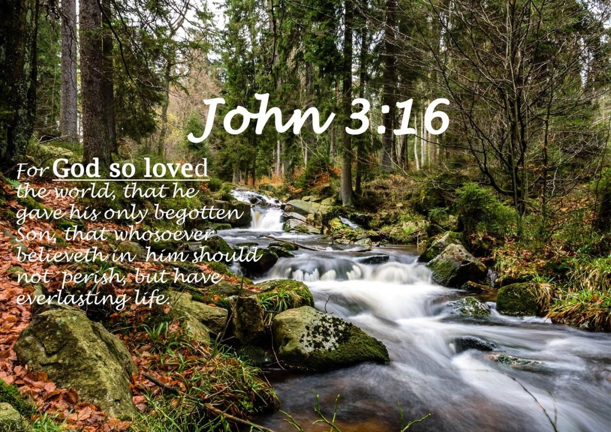 John 316 Kjv #14 Bible Verse Canvas Wall Art - Christian Canvas Wall Art