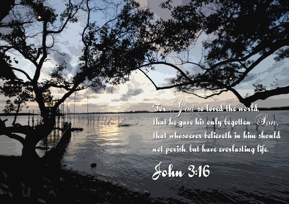 John 316 Kjv #24 Bible Verse Canvas Wall Art - Christian Canvas Wall Art