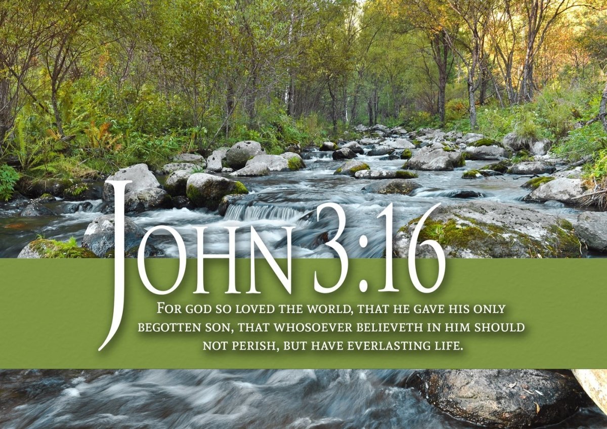 John 316 Kjv #28 Bible Verse Canvas Wall Art - Christian Canvas Wall Art