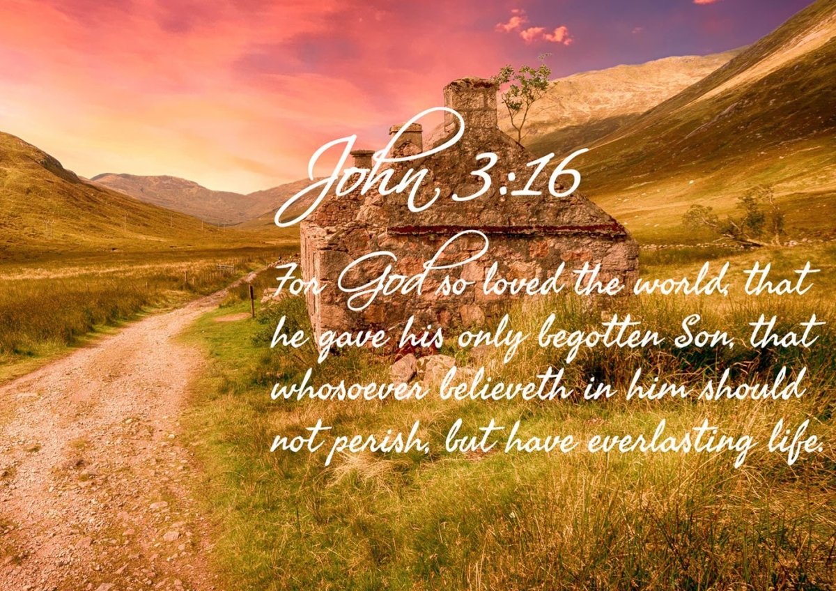 John 316 Kjv #4 Bible Verse Canvas Wall Art - Christian Canvas Wall Art