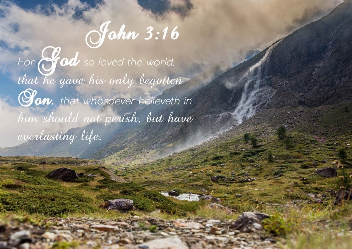 John 316 Kjv Bible Verse Canvas Wall Art - Christian Canvas Wall Art