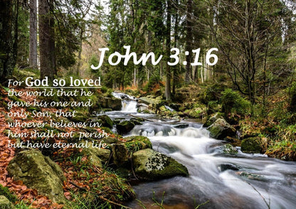 John 316 Niv #14 Bible Verse Canvas Wall Art - Christian Canvas Wall Art