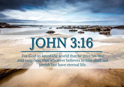 John 316 Niv #29 Bible Verse Canvas Wall Art - Christian Canvas Wall Art