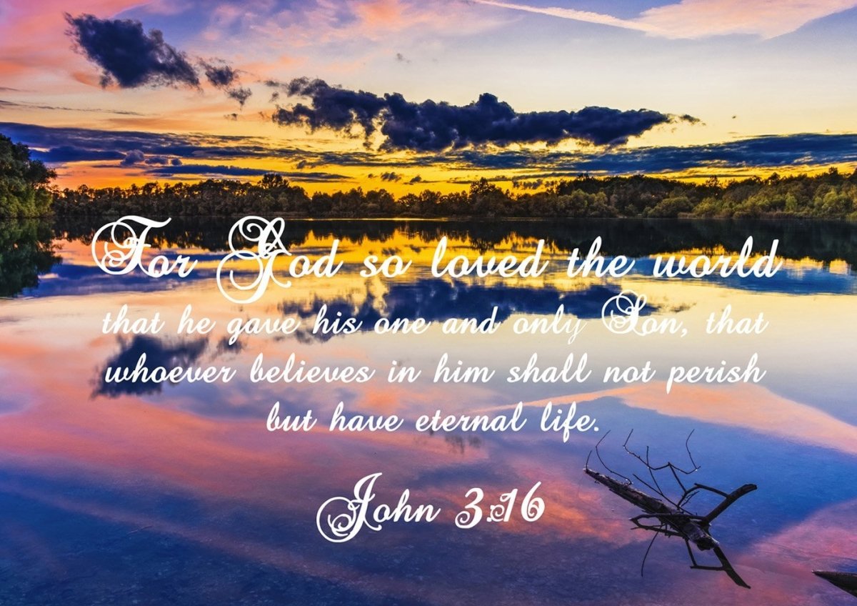 John 316 Niv Bible Verse Canvas Wall Art