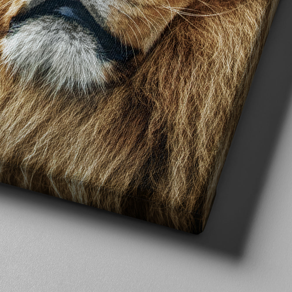 King Of Lions Joshua 19 Be Strong And Courageous Wall Art