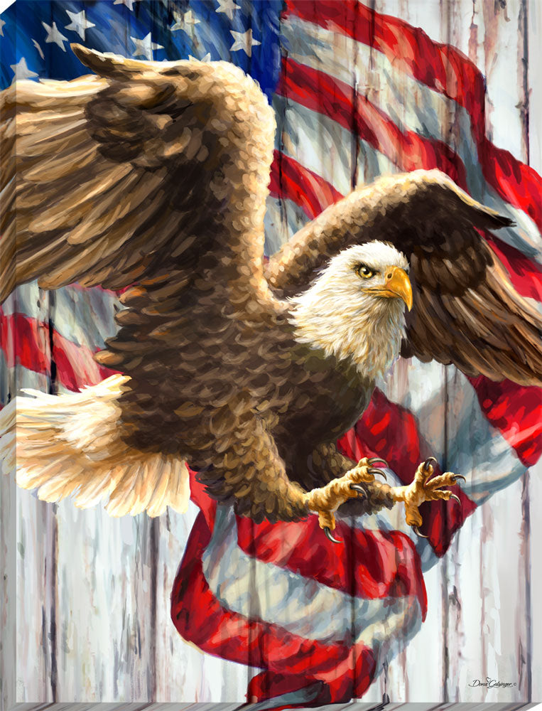 Liberty Eagle Canvas Wall Art - Christian Wall Decor - Religious Gift