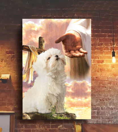 Maltese God Hand Photo Canvas - Canvas Decor Ideas