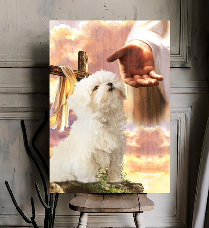 Maltese God Hand Photo Canvas - Canvas Decor Ideas