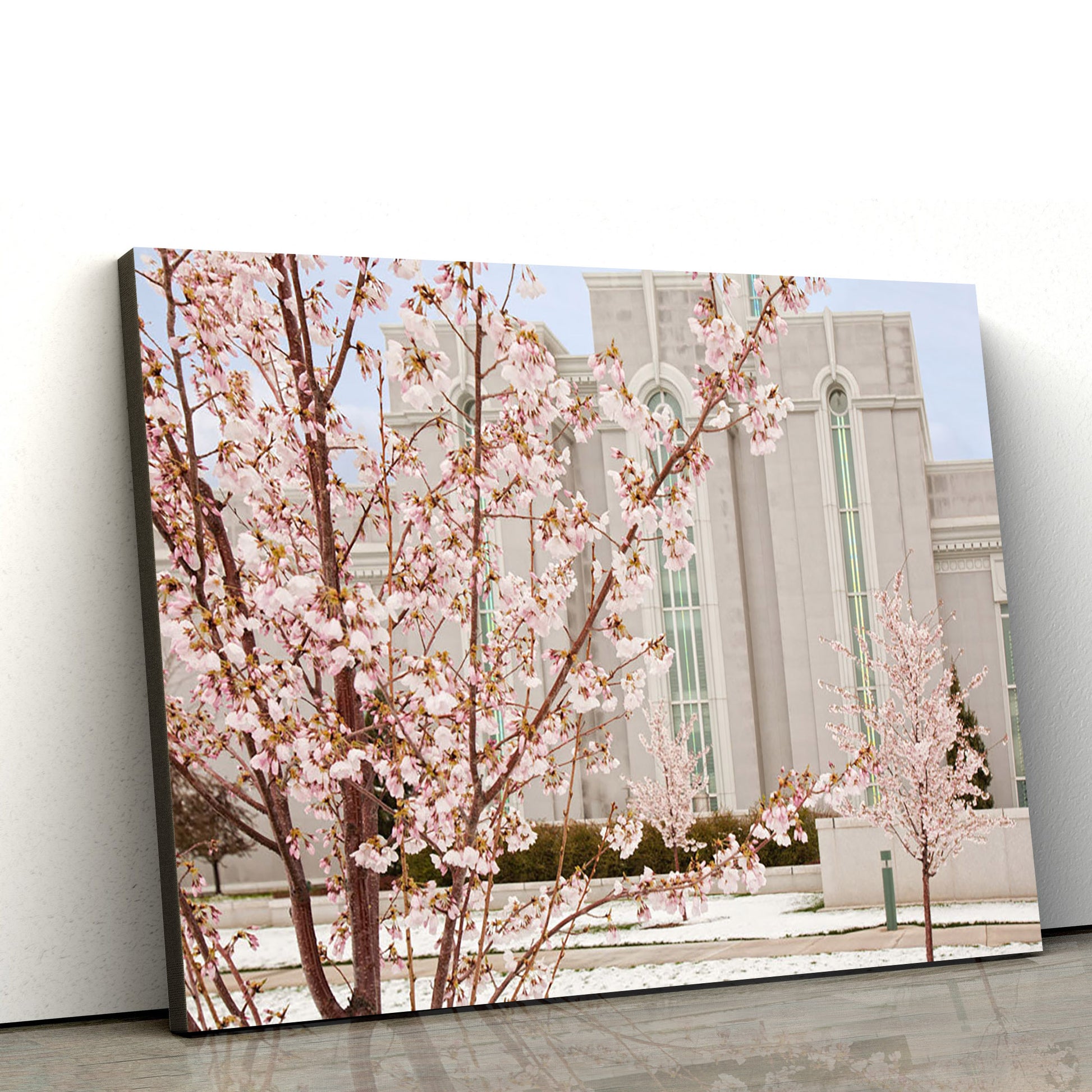 Mt Timpanogos Temple Cherry Blossoms Canvas Wall Art - Jesus Christ Picture - Canvas Christian Wall Art