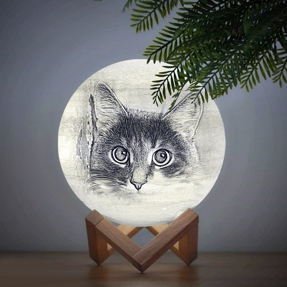 Personalized Lovely Cat 3d Printed Moon Lamp - Custom Cat Photo 3d Moon Lamp - Dog Cat Gifts