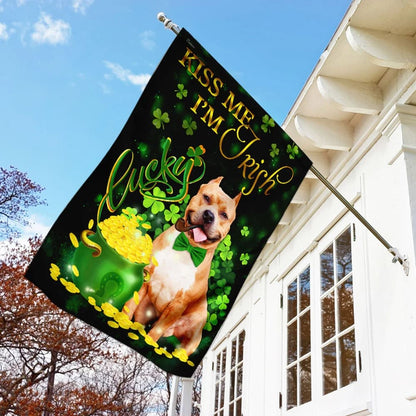 Pit Bull Kiss Me I'm Irish House Flag - St Patrick's Day Garden Flag - Outdoor St Patrick's Day Decor