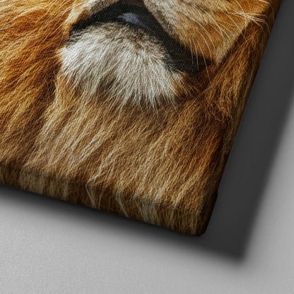 Pride Lion Joshua 19 Be Strong And Courageous Wall Art - Christian Canvas Wall Art