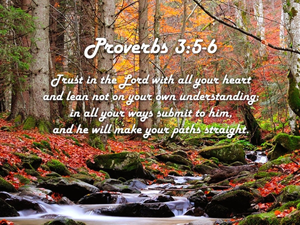 Proverbs 35-6 #27 'Trust In The Lord With All Your Heart' Bible Verse Canvas Wall Art - Christian Canvas Wall Art