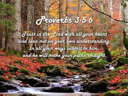 Proverbs 35-6 #27 'Trust In The Lord With All Your Heart' Bible Verse Canvas Wall Art - Christian Canvas Wall Art