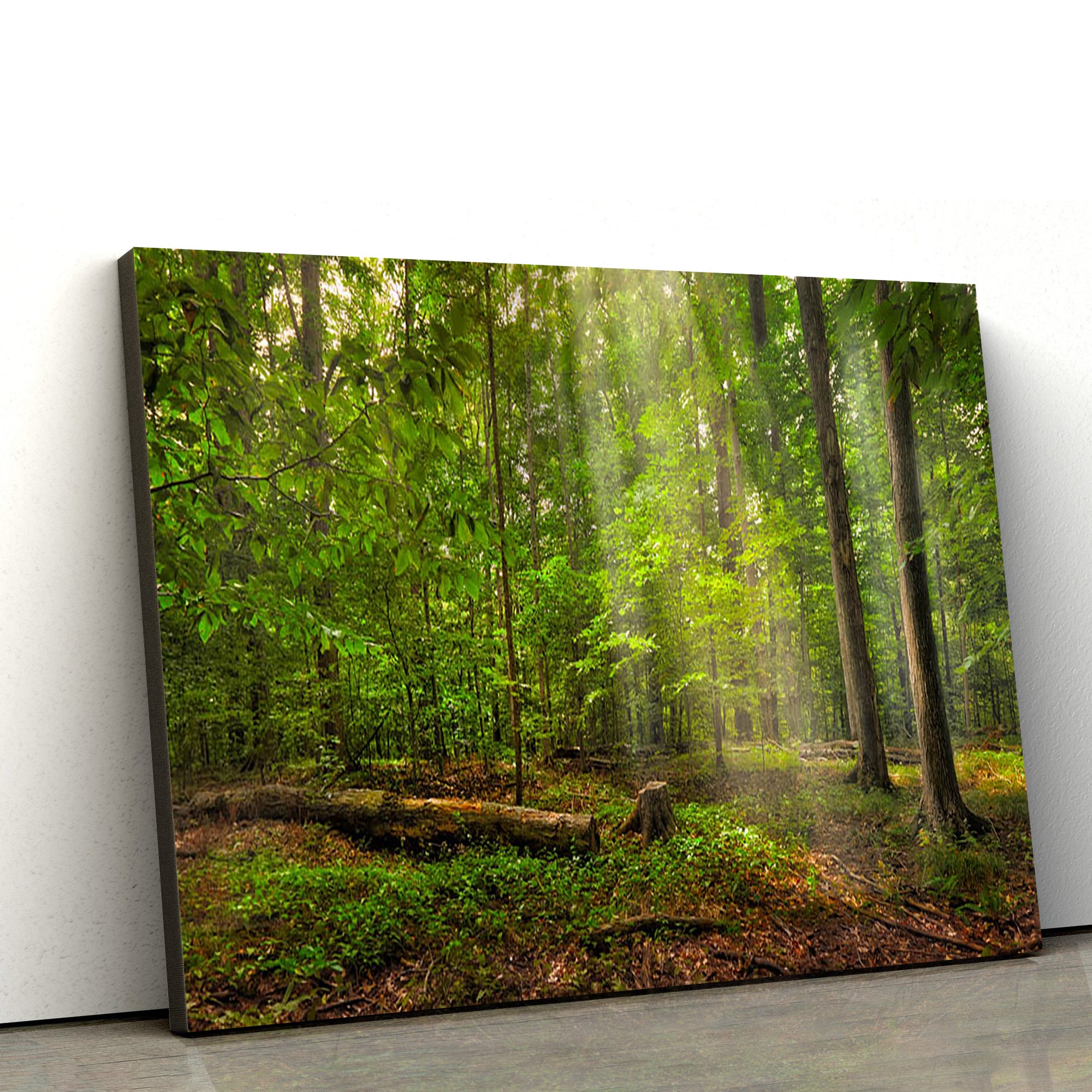 Sacred Grove Radiant Beams Canvas Wall Art - Jesus Christ Picture - Canvas Christian Wall Art