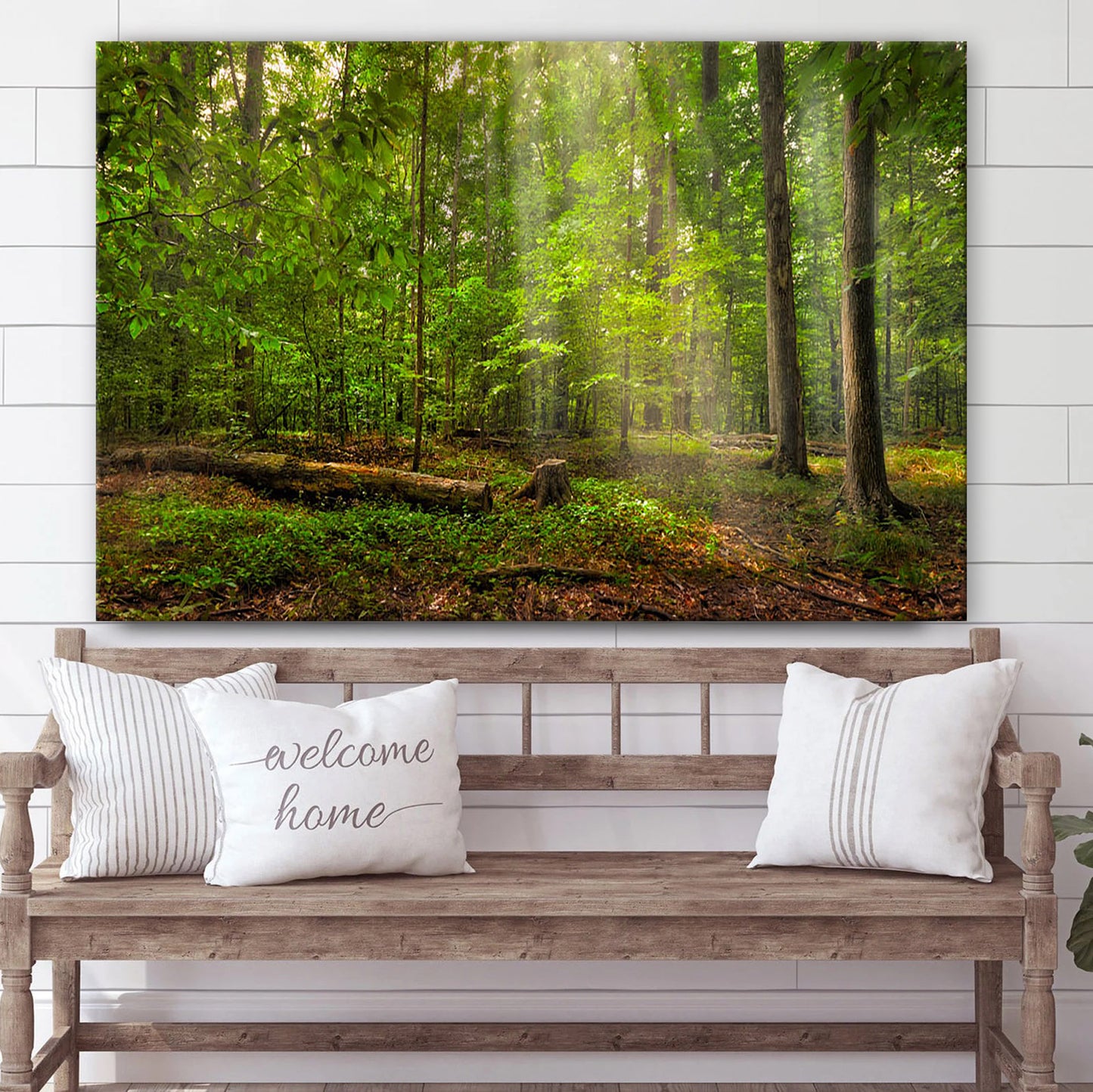 Sacred Grove Radiant Beams Canvas Wall Art - Jesus Christ Picture - Canvas Christian Wall Art