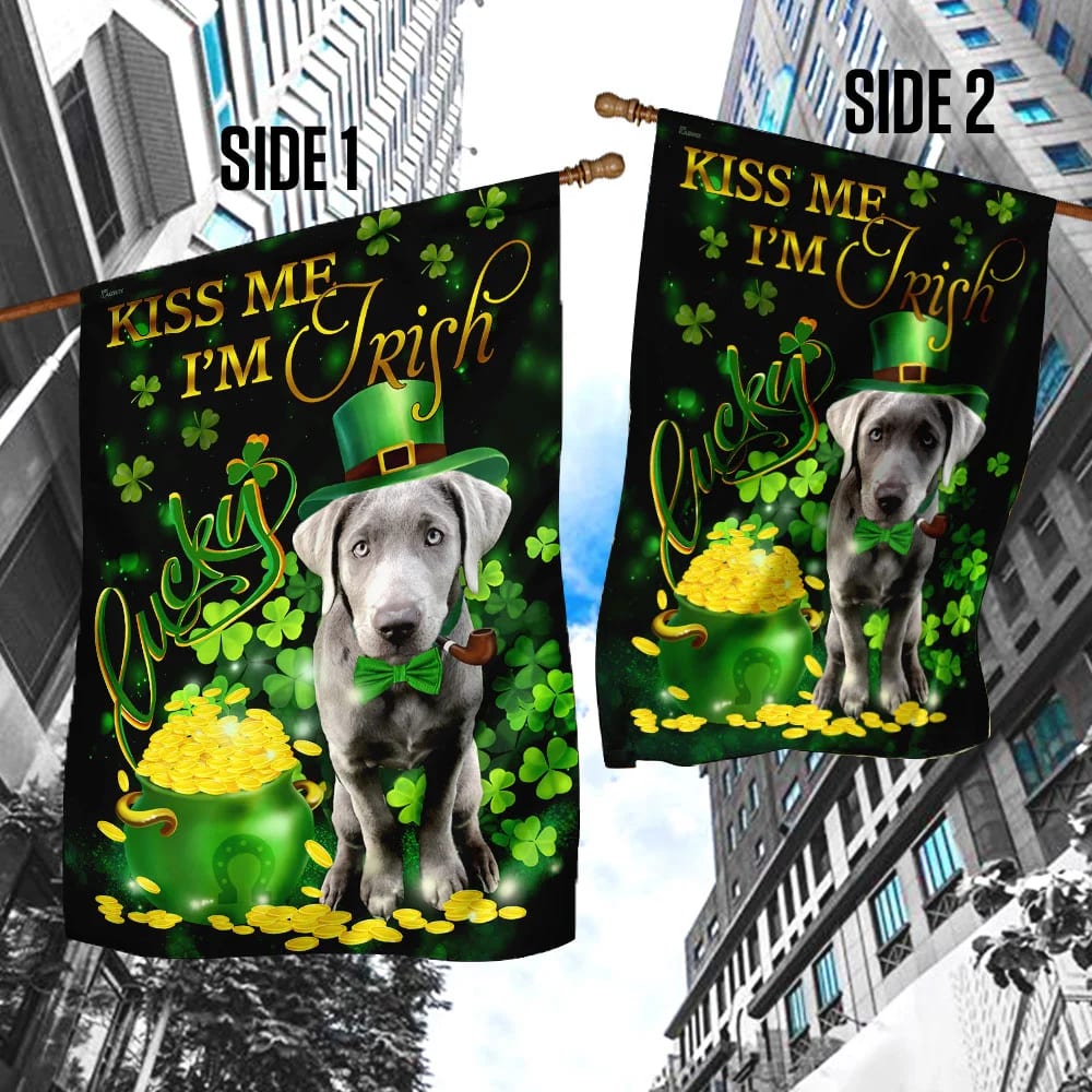 Silver Labrador Kiss Me I'm Irish House Flag - St Patrick's Day Garden Flag - Outdoor St Patrick's Day Decor