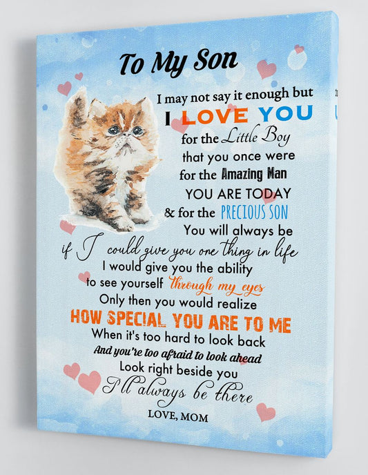 To My Son Canvas Wall Art Gifts For Son From Mom Cat Framed Canvas Gift