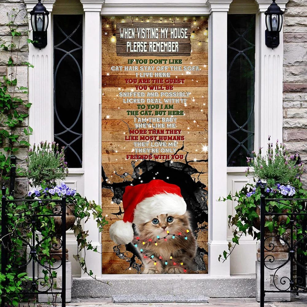 When Visiting My House Please Remember Door Cover - Cat Lover Door Cover - Christmas Outdoor Decoration