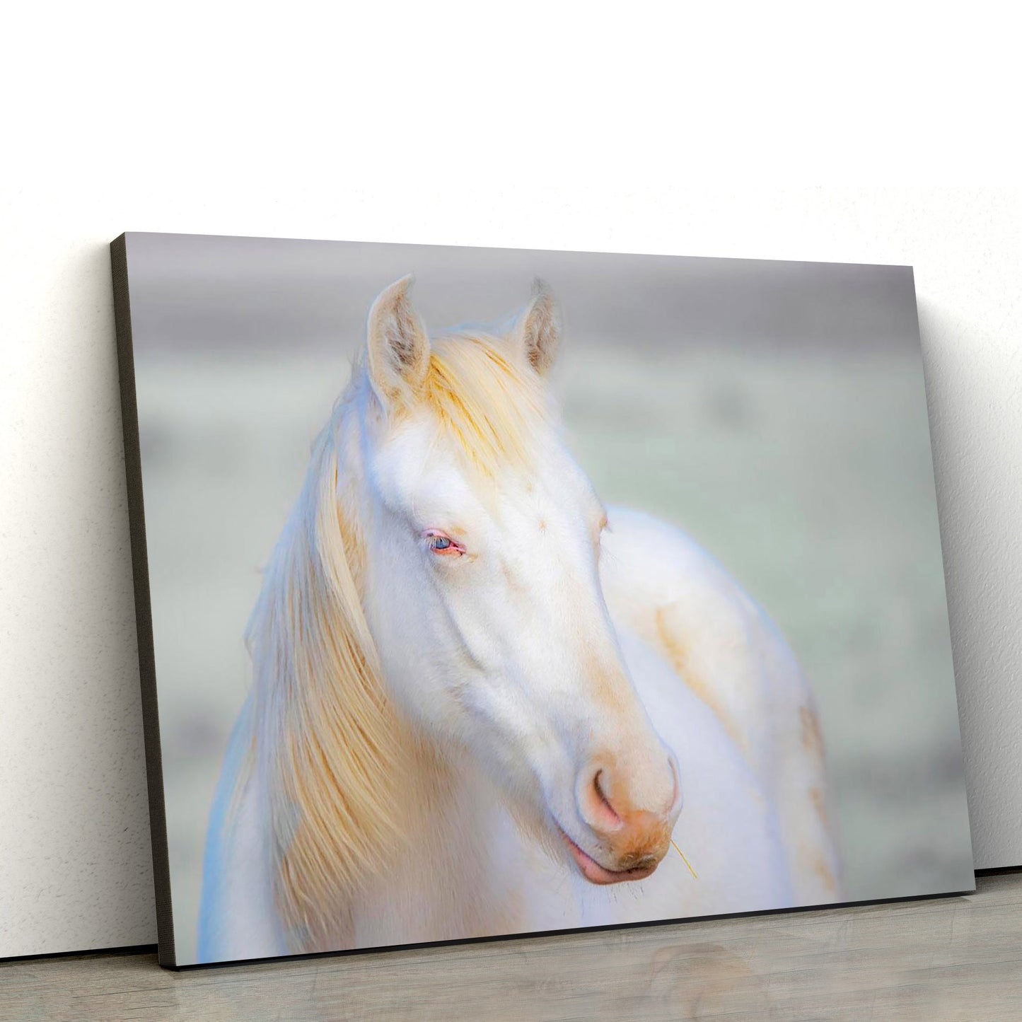 White Horse 2 Canvas Wall Art