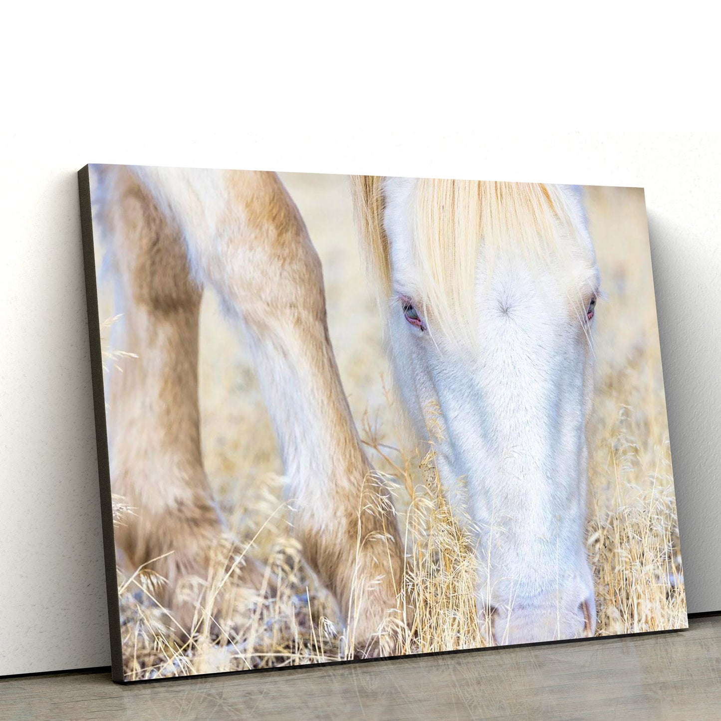 White Horse Canvas Wall Art